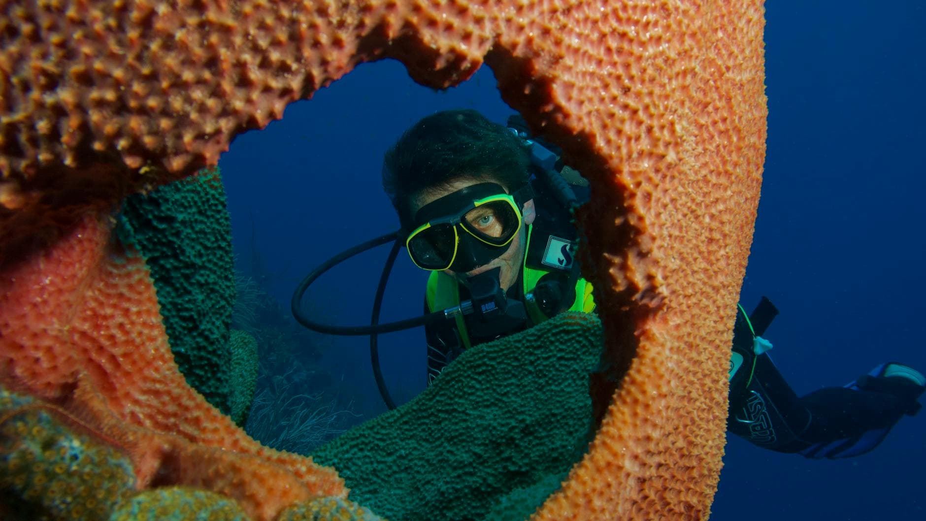 Cinco temporadas en Utila: lo que el mar enseña que el aula no