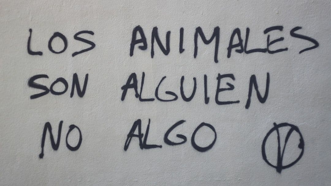 Zonas Azules: los lugares donde olvidaron morirse