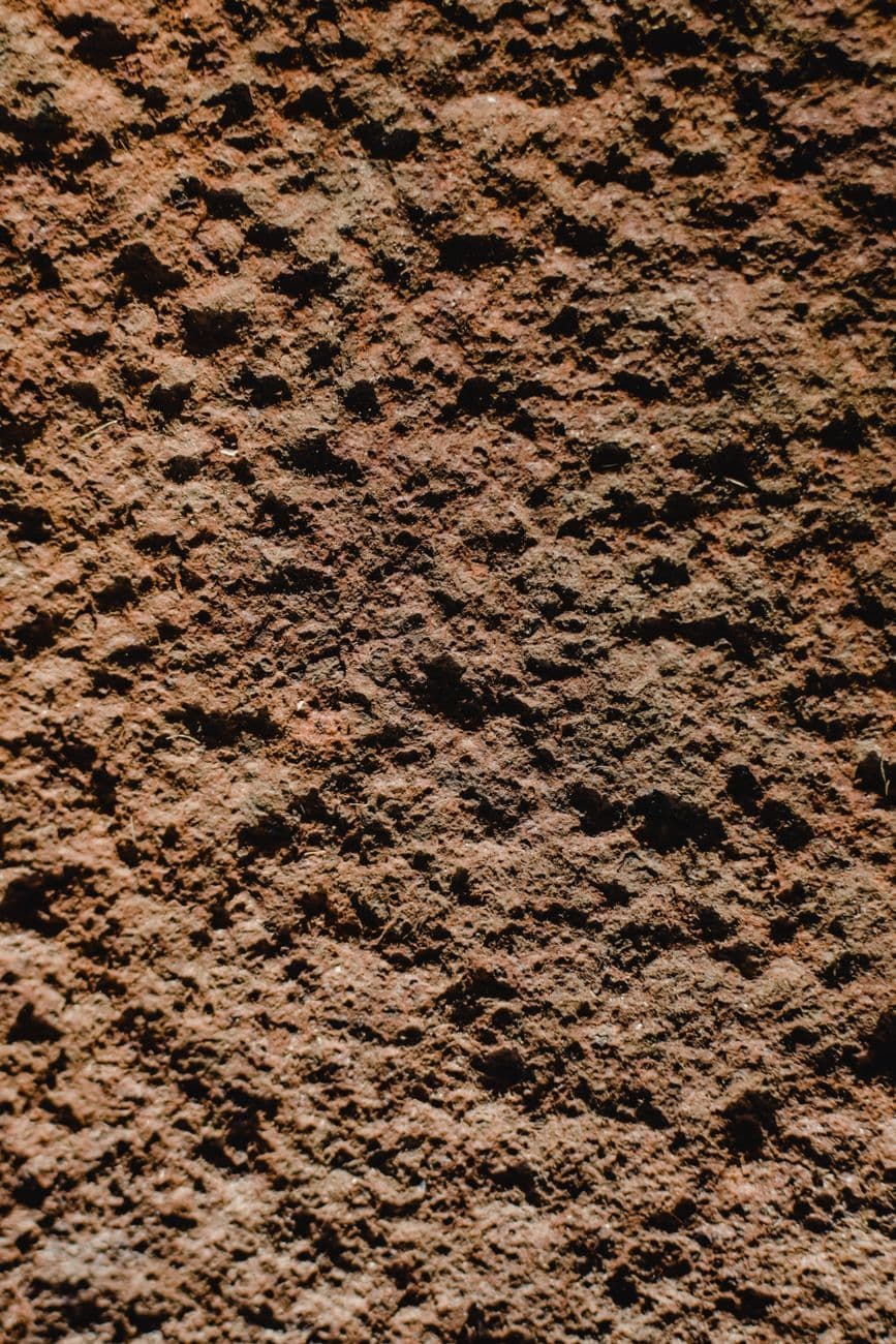 IPM (Integrated Pest Management) orgánico