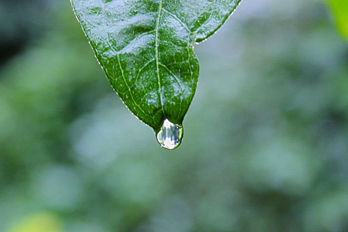 ¿Cómo aguantar más la respiración bajo el agua?