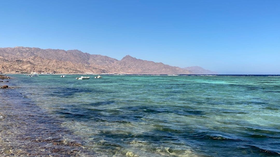 Koh Tao, Utila, Dahab: tres mares y lo que cada uno enseña