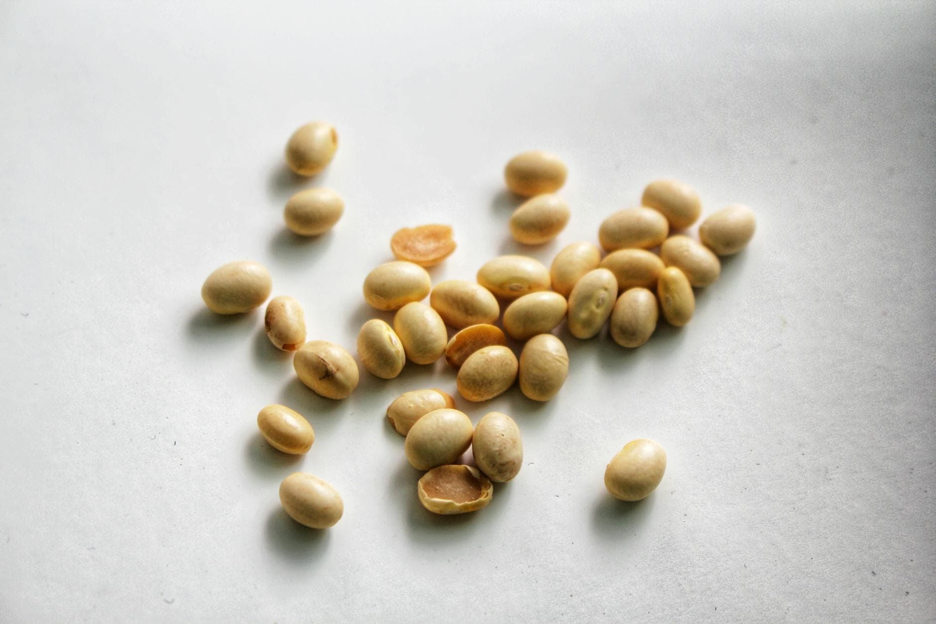Fuentes de proteína vegetal completas: combinaciones que funcionan