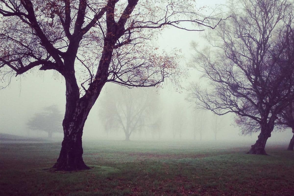 Automatización en hidro: sensores y controladores
