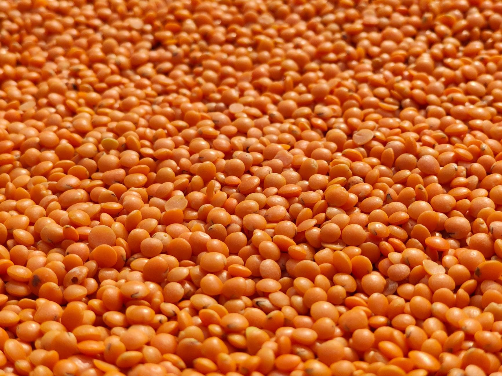Hummus de Lentejas Rojas: Más Proteína, Mismo Cremoso
