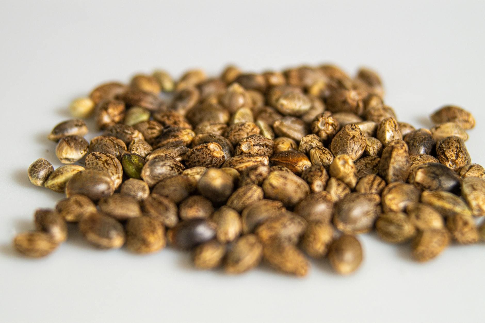 CBD, THC, CBG: ratios de cannabinoides